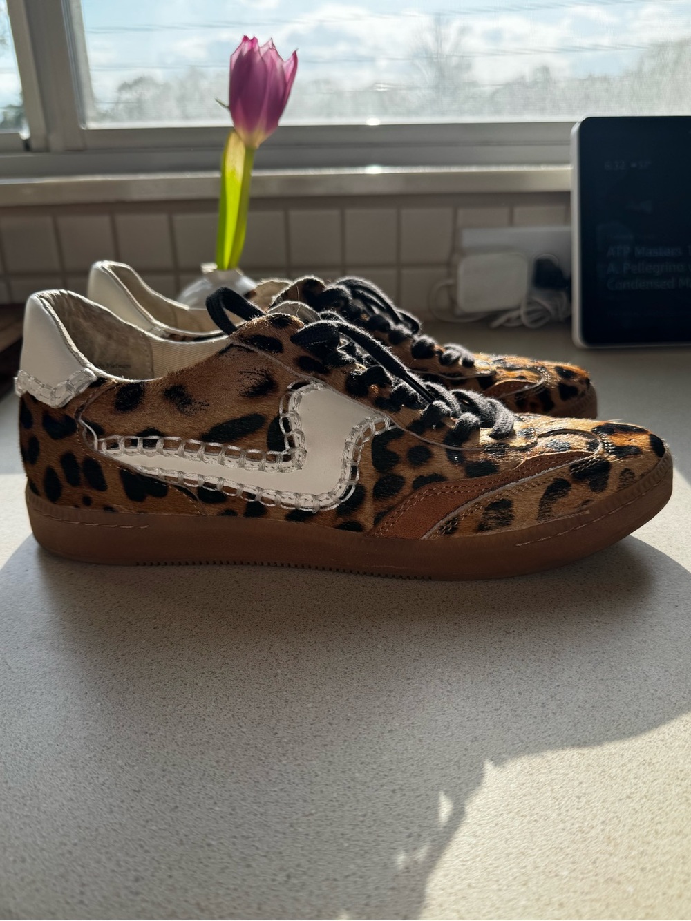 Dolce Vita Leopard-Print Sneakers with White Accent - Picture 3 of 5